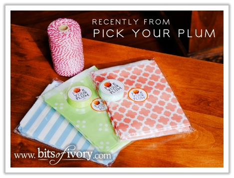 I love getting packages from Pick Your Plum! | www.bitsofivory.com